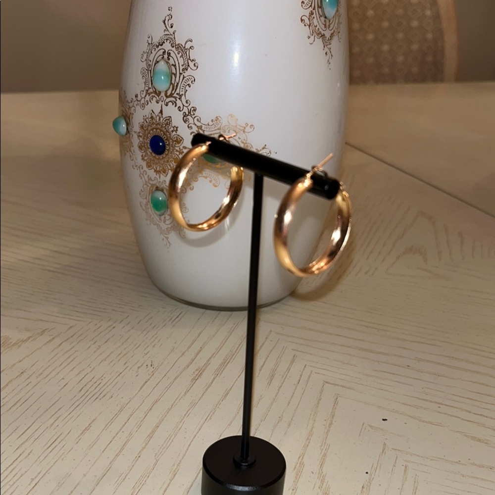 Elegant Gold Hoop Earrings